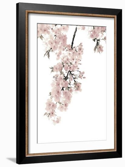 Pink Blossoms on White II-Kate Bennett-Framed Art Print