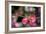 Pink Blossoms-Erin Berzel-Framed Art Print