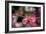 Pink Blossoms-Erin Berzel-Framed Art Print