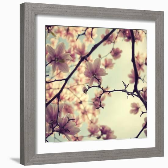 Pink Blossoms-Irene Suchocki-Framed Photographic Print