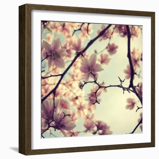 Pink Blossoms-Irene Suchocki-Framed Photographic Print