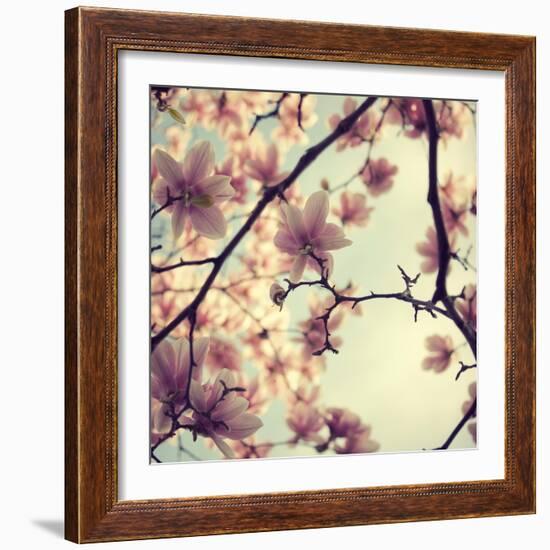 Pink Blossoms-Irene Suchocki-Framed Photographic Print