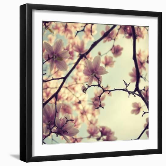 Pink Blossoms-Irene Suchocki-Framed Photographic Print