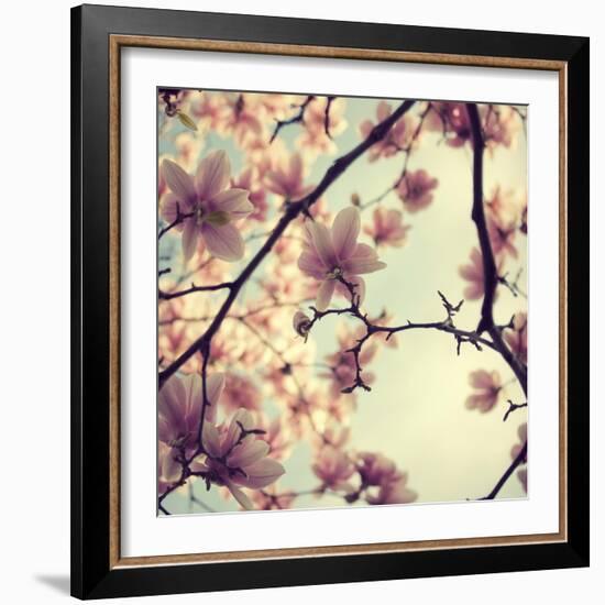 Pink Blossoms-Irene Suchocki-Framed Photographic Print