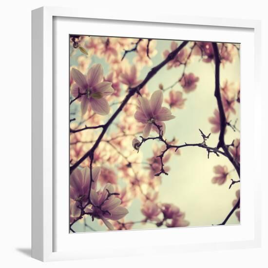 Pink Blossoms-Irene Suchocki-Framed Photographic Print