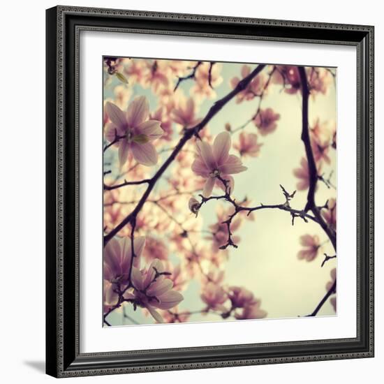 Pink Blossoms-Irene Suchocki-Framed Photographic Print