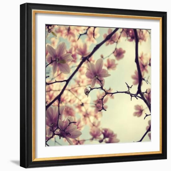 Pink Blossoms-Irene Suchocki-Framed Photographic Print