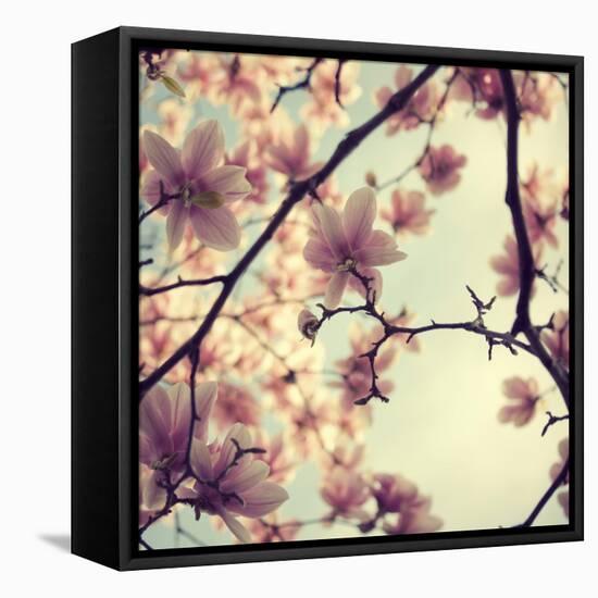 Pink Blossoms-Irene Suchocki-Framed Premier Image Canvas