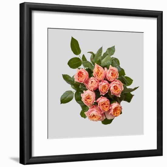 Pink Bouquet of Roses-artjazz-Framed Photographic Print