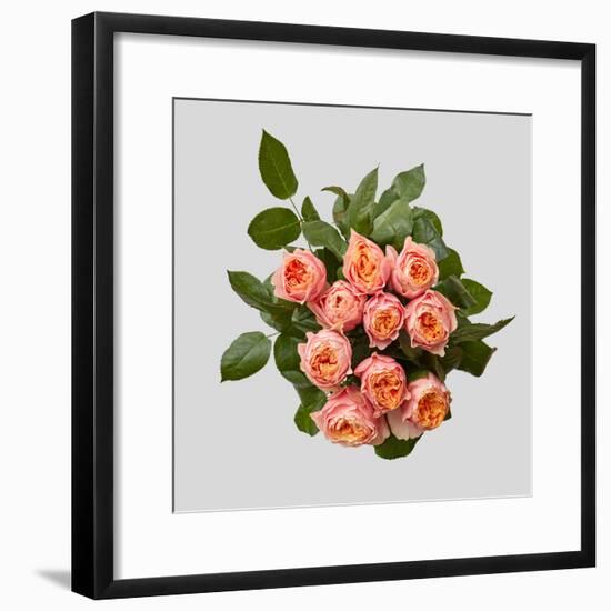 Pink Bouquet of Roses-artjazz-Framed Photographic Print