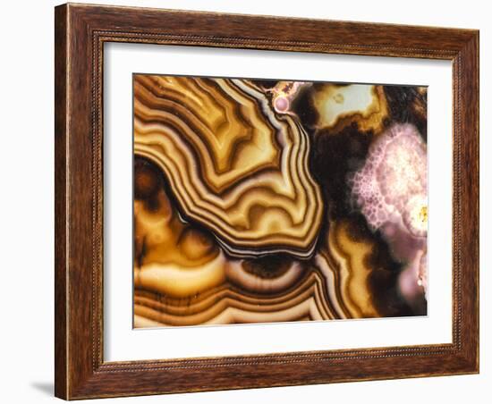 Pink Brown Turritella Agate Pattern-maury75-Framed Photographic Print