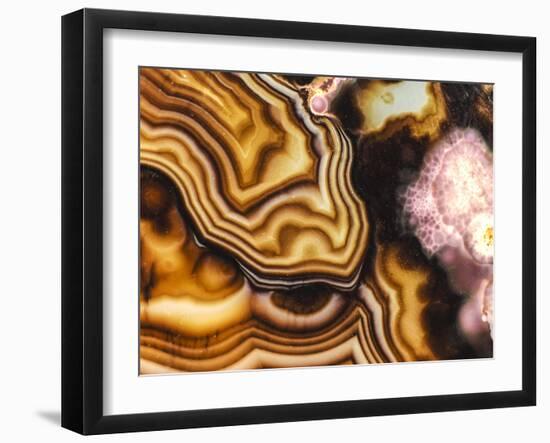 Pink Brown Turritella Agate Pattern-maury75-Framed Photographic Print