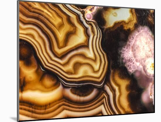 Pink Brown Turritella Agate Pattern-maury75-Mounted Photographic Print