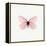 Pink Butterfly-PhotoINC-Framed Premier Image Canvas