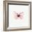 Pink Butterfly-PhotoINC-Framed Photographic Print