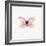 Pink Butterfly-PhotoINC-Framed Photographic Print