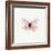 Pink Butterfly-PhotoINC-Framed Photographic Print