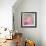 Pink Butterfly-Jennifer McCully-Framed Giclee Print displayed on a wall