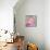 Pink Butterfly-Jennifer McCully-Mounted Giclee Print displayed on a wall