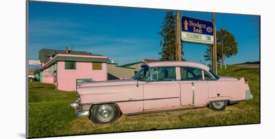 Pink Cadillac Diner, Natural Bridge, Virginia-null-Mounted Photographic Print