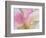 Pink Calla Lilies-Jamie & Judy Wild-Framed Photographic Print