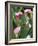 Pink Calla Lily Flowers-Michelle Garrett-Framed Photographic Print