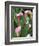 Pink Calla Lily Flowers-Michelle Garrett-Framed Photographic Print