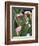 Pink Calla Lily Flowers-Michelle Garrett-Framed Photographic Print