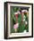 Pink Calla Lily Flowers-Michelle Garrett-Framed Photographic Print