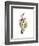 Pink Calla Lily Portrait-Albert Koetsier-Framed Premium Giclee Print