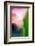 Pink Calla-Ursula Abresch-Framed Photographic Print