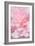 Pink Camellia Flower (Photography)-null-Framed Giclee Print