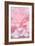 Pink Camellia Flower (Photography)-null-Framed Giclee Print