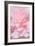 Pink Camellia Flower (Photography)-null-Framed Giclee Print
