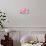 Pink Camellia Flower (Photography)-null-Giclee Print displayed on a wall