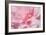 Pink Camellia Flower (Photography)-null-Framed Giclee Print