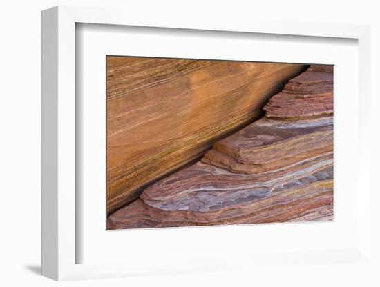 Pink Canyon close-up, Valley of Fire State Park, Nevada, USA-Michel Hersen-Framed Photographic Print
