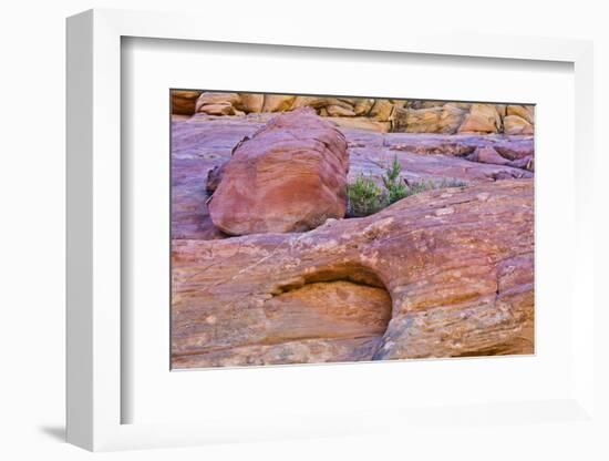 Pink Canyon, Valley of Fire State Park, Nevada, USA.,-Michel Hersen-Framed Photographic Print