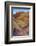 Pink Canyon, Valley of Fire State Park, Overton, Nevada, USA-Michel Hersen-Framed Photographic Print