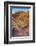 Pink Canyon, Valley of Fire State Park, Overton, Nevada, USA-Michel Hersen-Framed Photographic Print