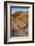 Pink Canyon, Valley of Fire State Park, Overton, Nevada, USA-Michel Hersen-Framed Photographic Print