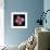 Pink Carnations-Magda Indigo-Framed Photographic Print displayed on a wall
