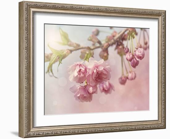 Pink Cherry Blossom Tree-egal-Framed Art Print