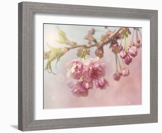 Pink Cherry Blossom Tree-egal-Framed Art Print