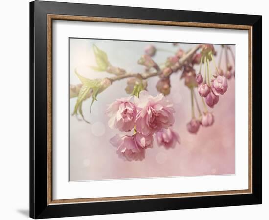 Pink Cherry Blossom Tree-egal-Framed Art Print