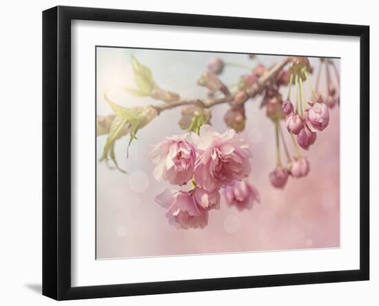 Pink Cherry Blossom Tree-egal-Framed Art Print