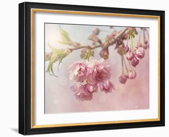 Pink Cherry Blossom Tree-egal-Framed Art Print