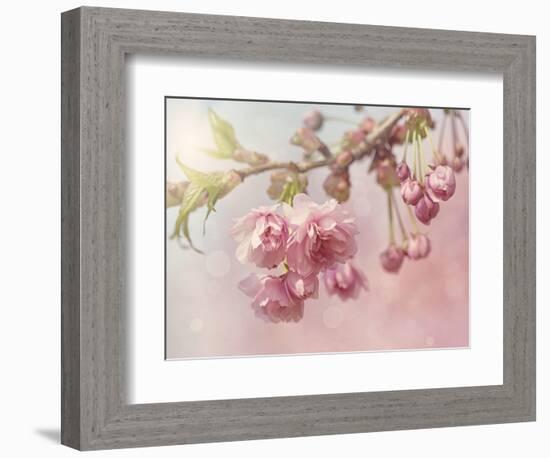 Pink Cherry Blossom Tree-egal-Framed Premium Giclee Print