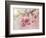 Pink Cherry Blossom Tree-egal-Framed Premium Giclee Print