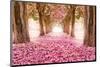 Pink Cherry Blossom Tunnel-null-Mounted Art Print